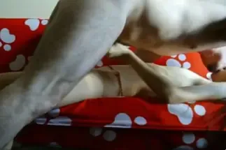 Skandal ABG Bispak Jakarta Live Di Hotel Bintang