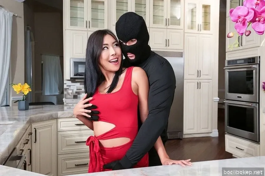 Mencuri rumah pelacur yang salah, Vietsub